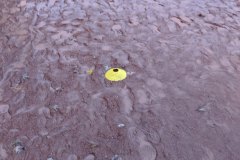 IMG_20191030_180051