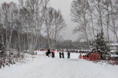 IMG_20191102_095900_1