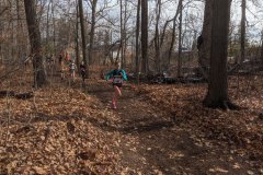 IMG_20191110_121614