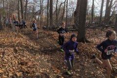 IMG_20191110_121630_1