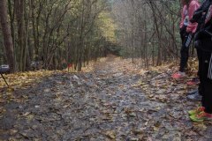 IMG_20191110_140706