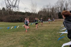 IMG_20191130_121544